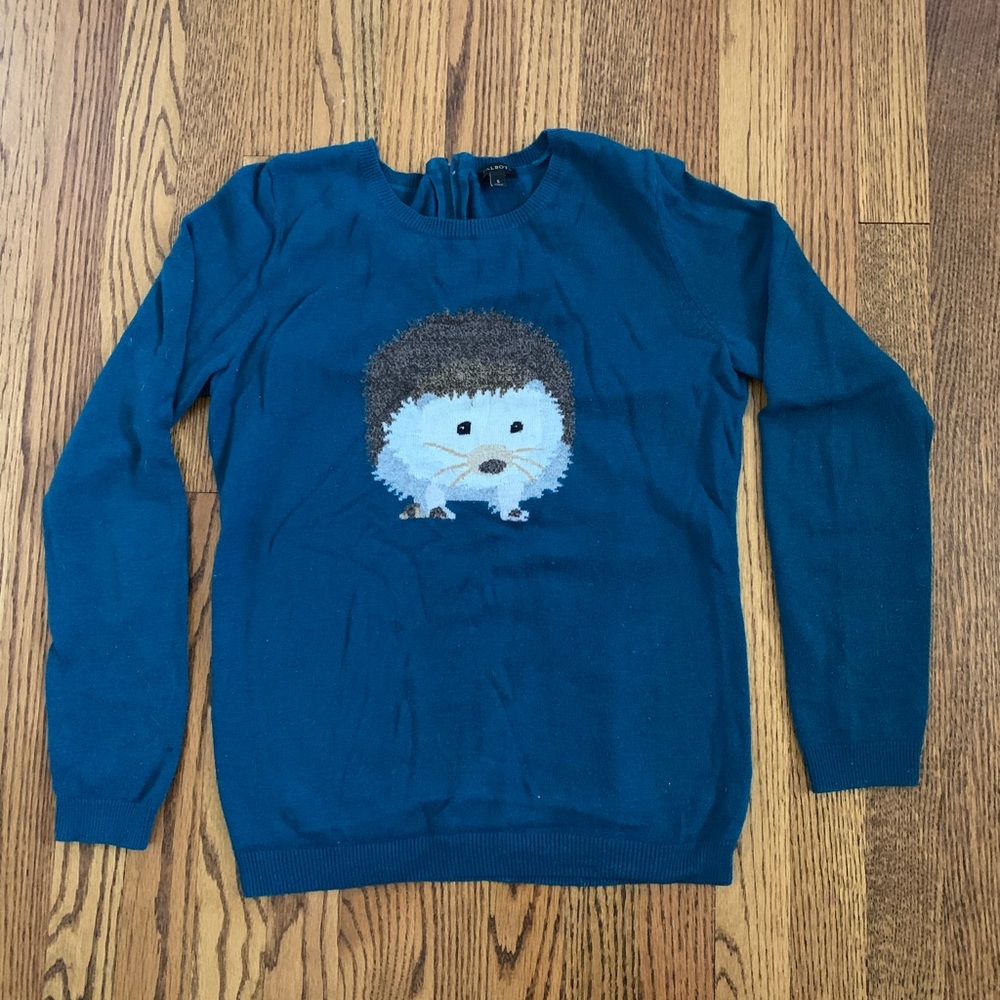 Teal Hedgehog Sweater